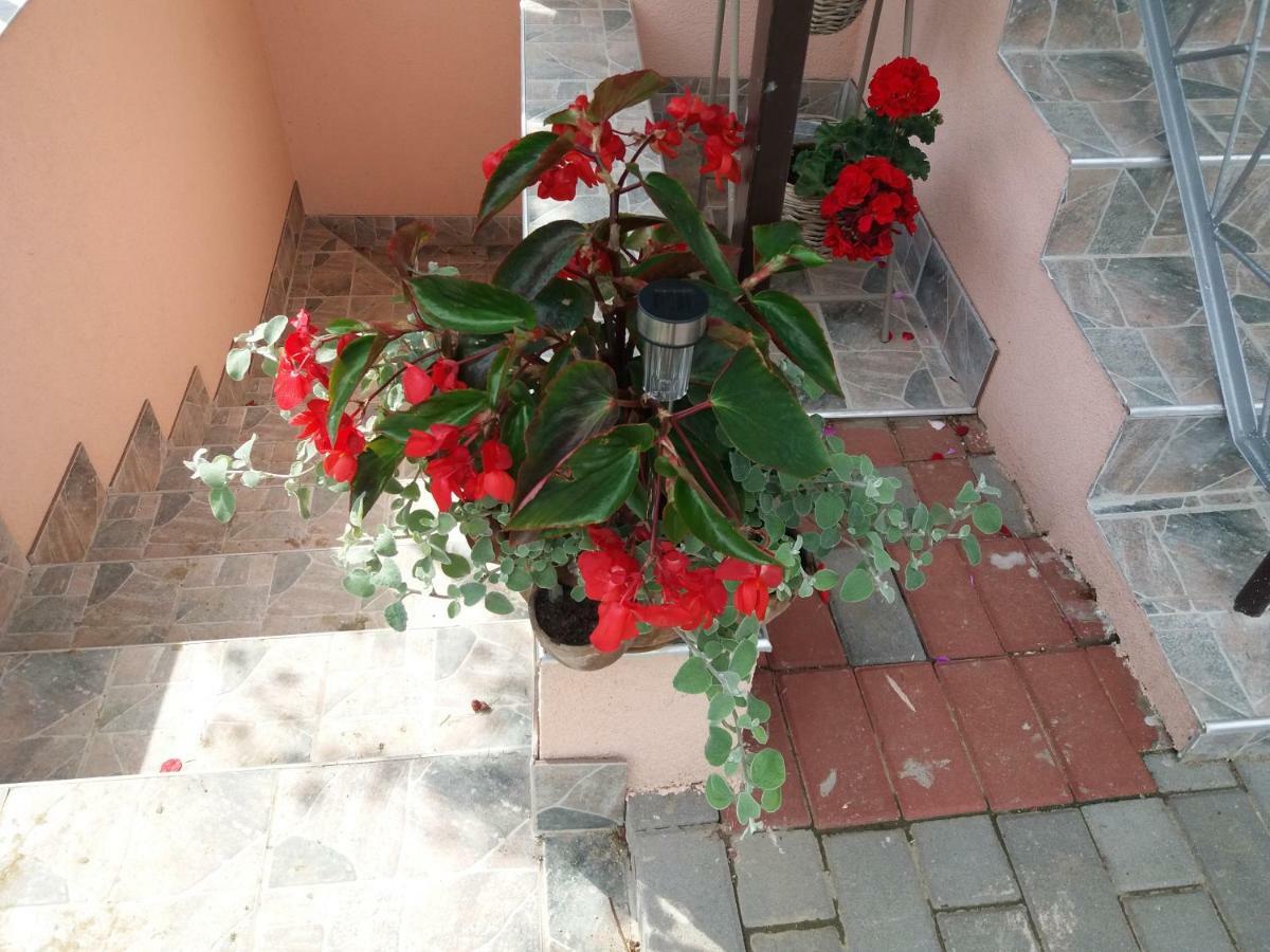 Hotel Beata Vendeghaz Tokaj Zewnętrze zdjęcie